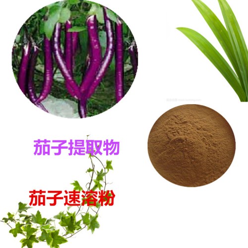 茄子提取物 水提 茄子速溶粉 茄子浸膏 茄子粉 水溶