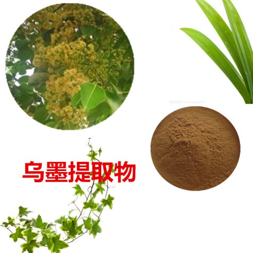 烏墨提取物  烏墨粉  烏墨速溶粉  烏墨浸膏粉