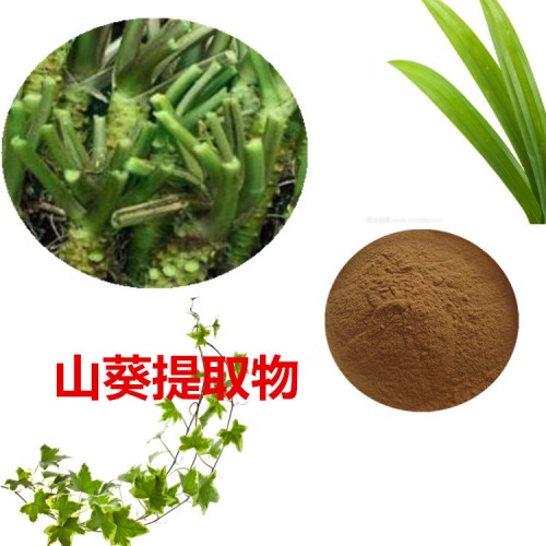 山葵提取物  山葵粉 山葵速溶粉 山葵浸膏粉