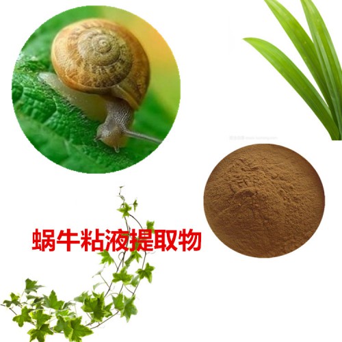 蝸牛黏液提取物  蝸牛黏液粉  蝸牛黏液速溶粉