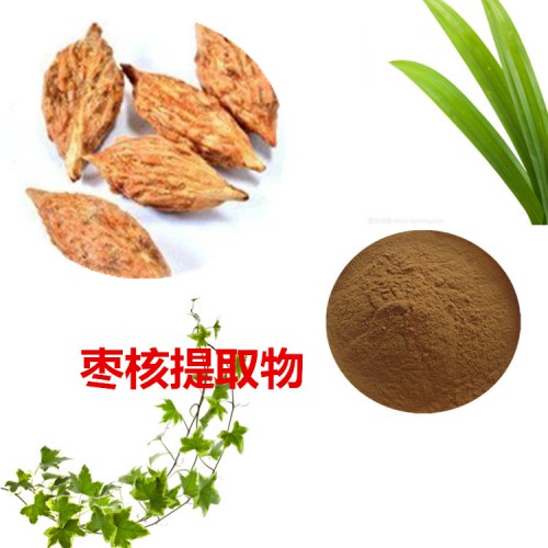 棗核提取物  棗核粉 棗核速溶粉 棗核浸膏粉