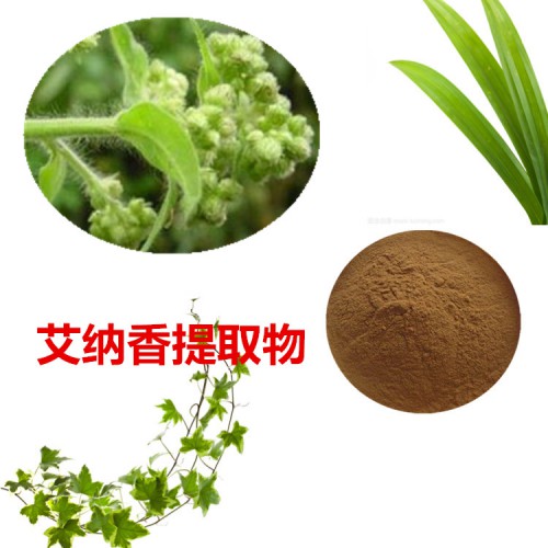 艾納香提取物  艾納香粉 艾納香速溶粉 艾納香浸膏粉