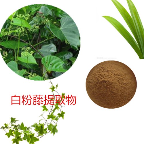 白粉藤提取物 白粉藤粉 白粉藤速溶粉  白粉藤浸膏粉