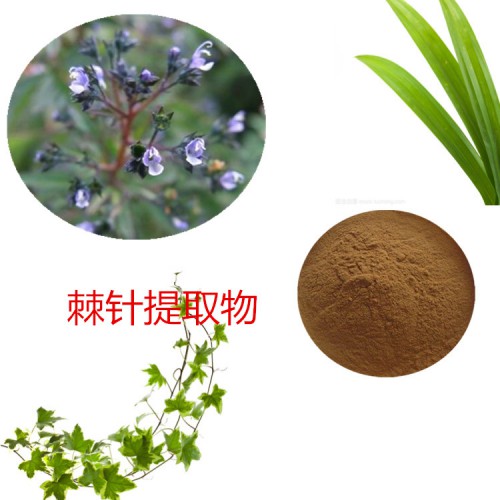 棘針提取物 棘針粉 棘針?biāo)偃芊? 棘針浸膏粉