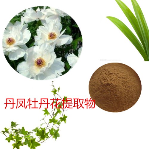 丹鳳牡丹花提取物 丹鳳牡丹花粉 丹鳳牡丹花速溶粉