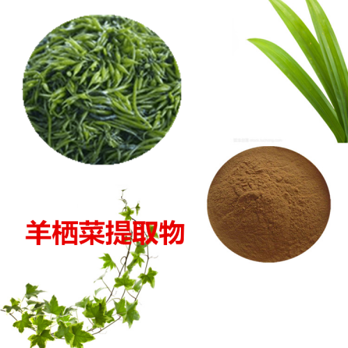 羊棲菜提取物 羊棲菜粉 羊棲菜速溶粉 羊棲菜浸膏粉