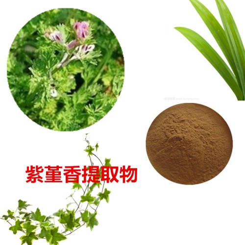 紫堇香提取物 紫堇香粉 紫堇香速溶粉 紫堇香浸膏粉