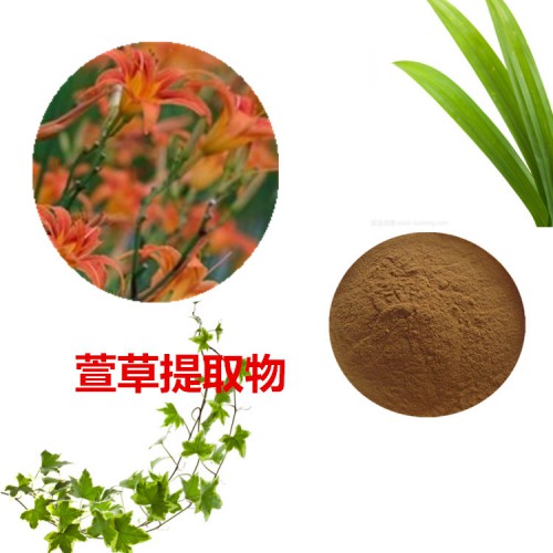 萱草花提取物 萱草花粉 萱草花速溶粉 萱草花浸膏粉