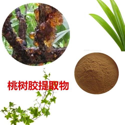 桃樹膠提取物  桃樹膠粉  桃樹膠速溶粉  桃樹膠浸膏粉