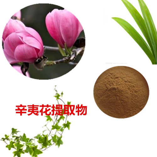 蘇子提取物 10：1  蘇子粉 蘇子速溶粉 蘇子浸膏粉