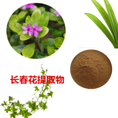 長春花提取物  長春花粉 長春花速溶粉  長春花浸膏粉