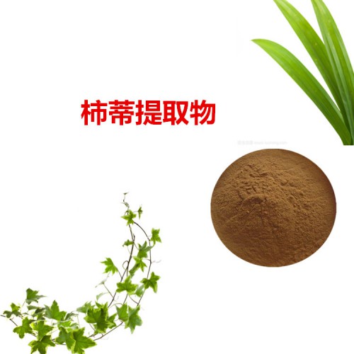 柿蒂提取物  柿蒂粉 柿蒂速溶粉 柿蒂浸膏粉