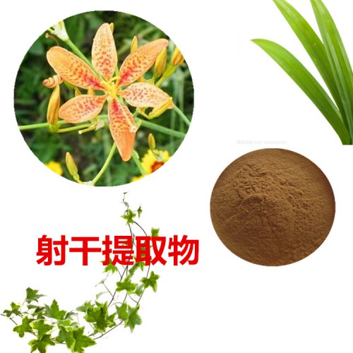 射干提取物  射干粉 射干速溶粉 射干浸膏粉