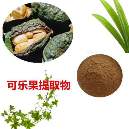 可樂(lè)果提取物  可樂(lè)果粉 可樂(lè)果速溶粉 可樂(lè)果浸膏粉