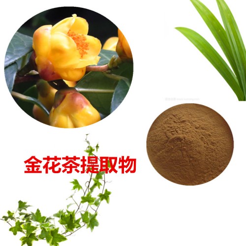 金花茶提取物 金花茶粉 金花茶速溶粉 金花茶浸膏粉