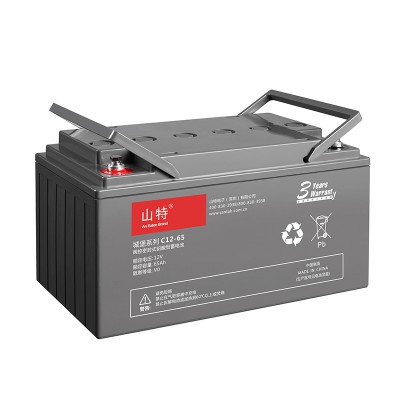 SANTAK山特城堡C12-65 UPS蓄電池12V65AH