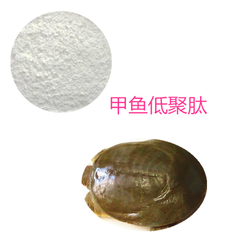 甲魚蛋白肽 甲魚多肽 甲魚小分子肽 甲魚蛋白