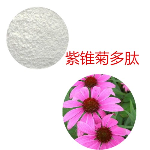 紫錐菊蛋白肽 紫錐菊多肽 紫錐菊小分子肽 紫錐菊蛋白