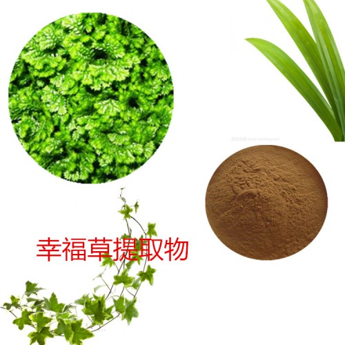 幸福草提取物 幸福草粉 幸福草速溶粉 幸福草浸膏粉