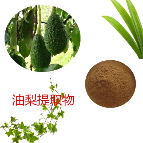 油梨提取物 油梨粉 油梨速溶粉 油梨浸膏粉