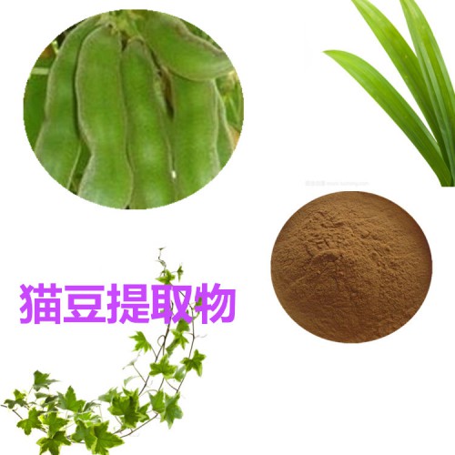 貓豆提取物 貓豆粉 貓豆速溶粉 貓豆浸膏粉