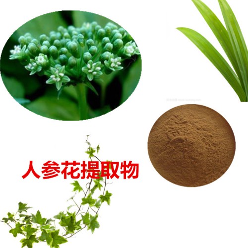 人參花提取物 人參花粉 人參花速溶粉 人參花浸膏粉