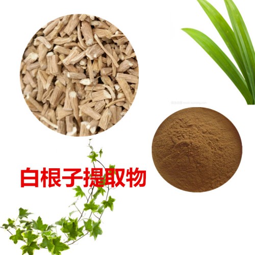 白根子提取物 白根子粉 白根子速溶粉 白根子浸膏粉