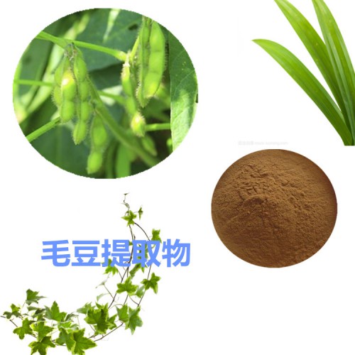 毛豆提取物 毛豆粉 毛豆速溶粉 毛豆浸膏粉