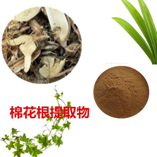 棉花根提取物 棉花根粉 棉花根速溶粉 棉花根浸膏粉