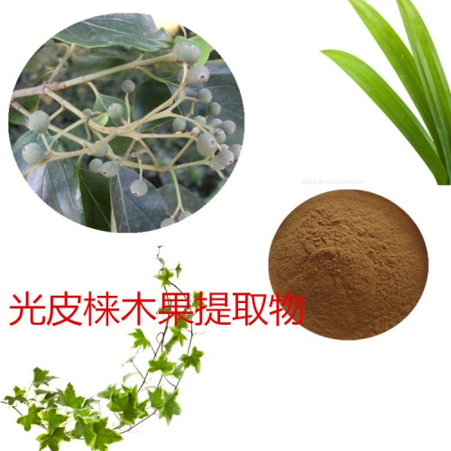 光皮梾木果提取物 光皮梾木果速溶粉 光皮梾木果浸膏粉