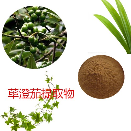 蓽澄茄提取物 蓽澄茄粉 蓽澄茄速溶粉 蓽澄茄浸膏粉