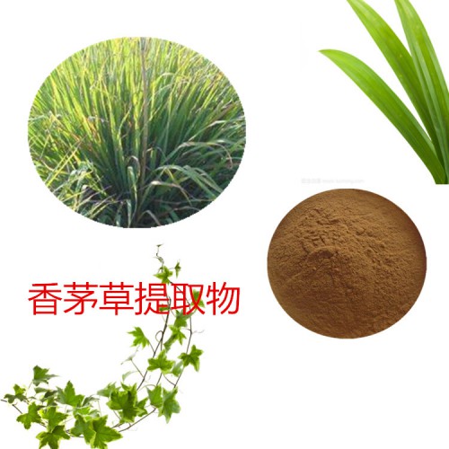 香茅草提取物 香茅草粉 香茅草速溶粉 香茅草浸膏粉