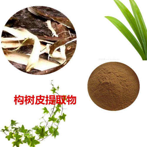 構樹皮提取物  構樹皮粉  構樹皮速溶粉  構樹皮浸膏粉