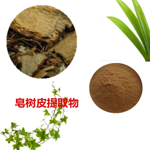 皂樹皮提取物 皂樹皮粉 皂樹皮速溶粉 皂樹皮浸膏粉