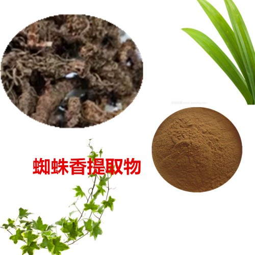 蜘蛛香提取物 蜘蛛香粉 蜘蛛香速溶粉 蜘蛛香浸膏粉