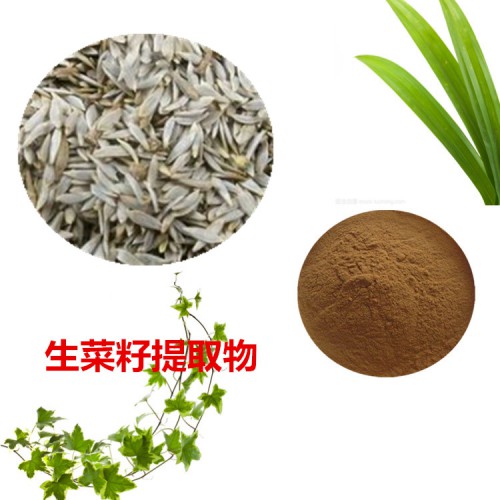 生菜籽提取物 生菜籽粉 生菜籽速溶粉 生菜籽浸膏粉