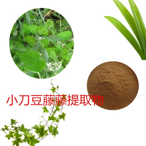 小刀豆藤提取物  小刀豆藤速溶粉 小刀豆藤浸膏粉