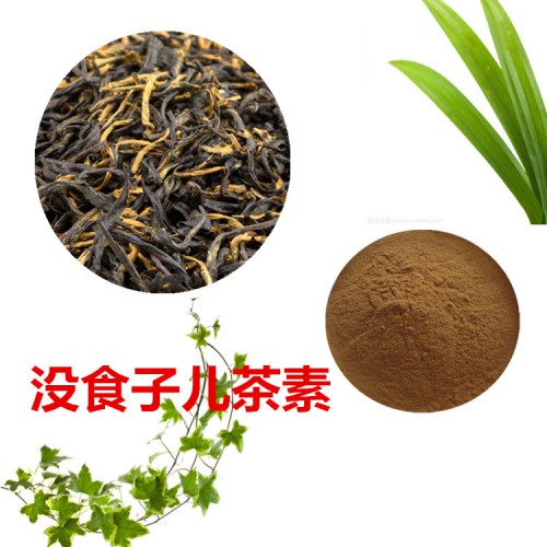 表兒茶素  沒食子兒茶素  紅茶提取物 紅茶粉