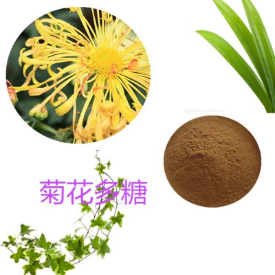 菊花多糖   菊花提取物   菊花提取液  菊花粉