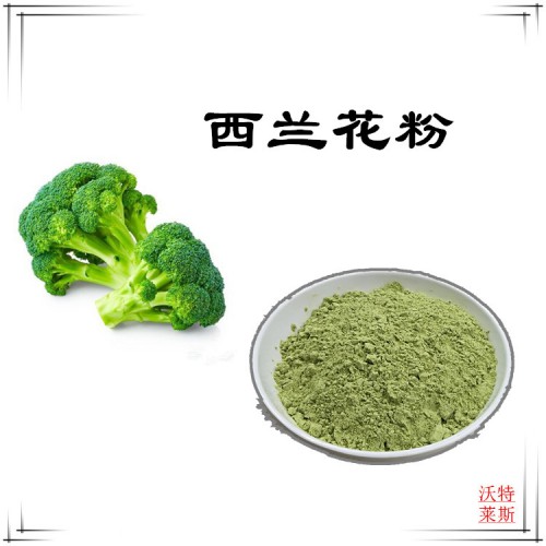 西蘭花粉  西蘭花提取物  西蘭花提取液  西蘭花浸膏