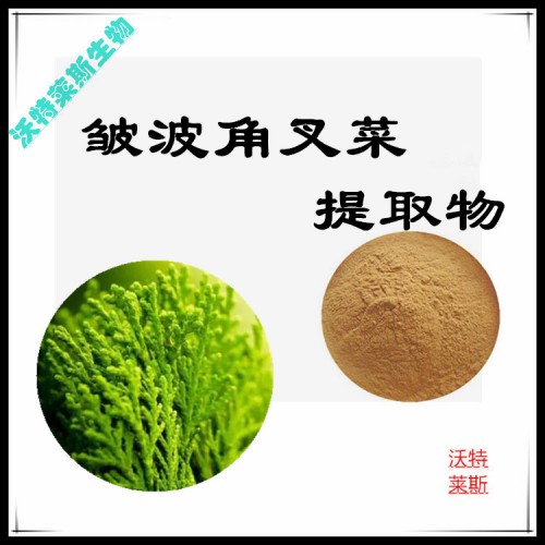 皺波角叉菜粉  皺波角叉菜提取物  皺波角叉菜提取液