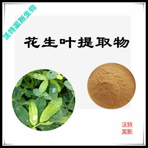 花生葉粉  花生葉提取物   花生葉提取液  花生葉浸膏