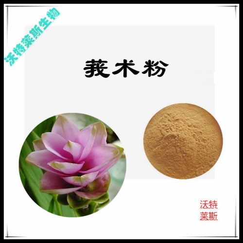 莪術(shù)提取物  莪術(shù)提取液  莪術(shù)浸膏  莪術(shù)粉