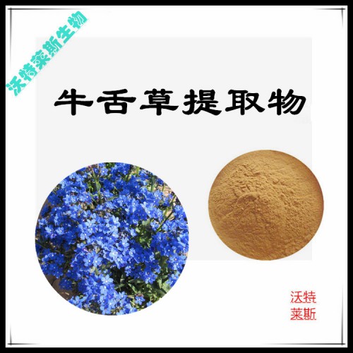 牛舌草粉 牛舌草提取物 牛舌草浸膏 牛舌草提取液