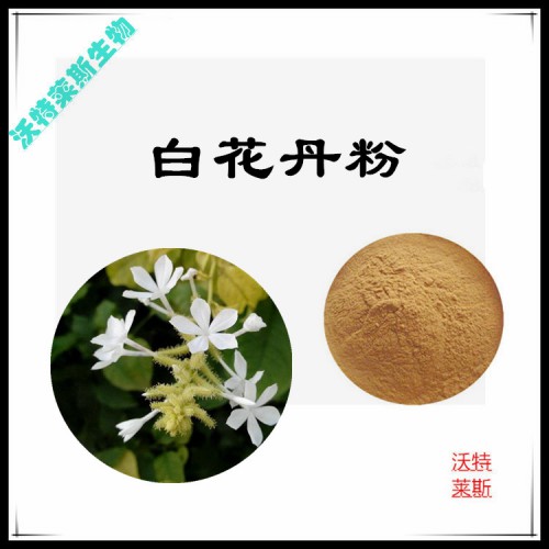 白花丹粉 白花丹提取物 白花丹浸膏 白花丹提取液