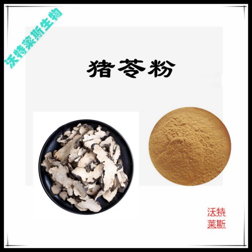 豬苓粉 豬苓提取物 10:1 豬苓浸膏 豬苓提取液