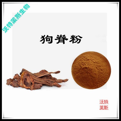 狗脊粉 狗脊提取物 狗脊浸膏 狗脊提取液