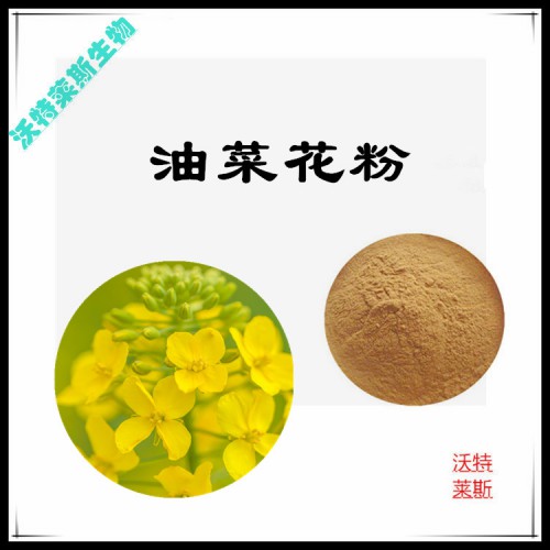 油菜花粉 油菜花提取物 油菜花浸膏 油菜花提取液