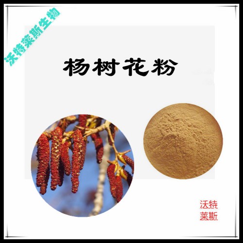 楊樹(shù)花粉 楊樹(shù)花提取物 楊樹(shù)花浸膏 楊樹(shù)花提取液