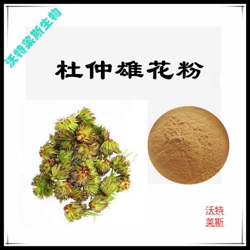 杜仲雄花粉 杜仲雄花提取物 杜仲雄花浸膏 杜仲雄花提取液